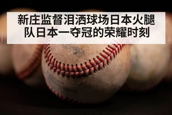 新庄监督泪洒球场日本火腿队日本一夺冠的荣耀时刻
